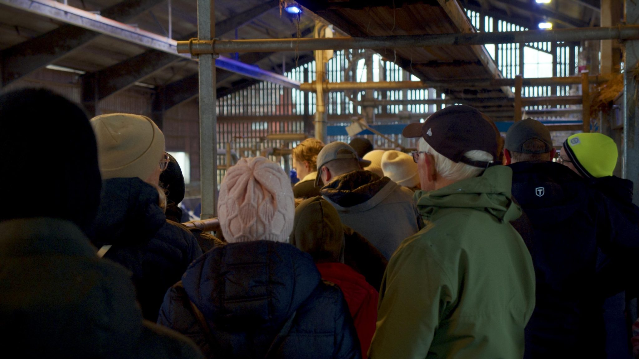 Personer inomhus som kollar på kor