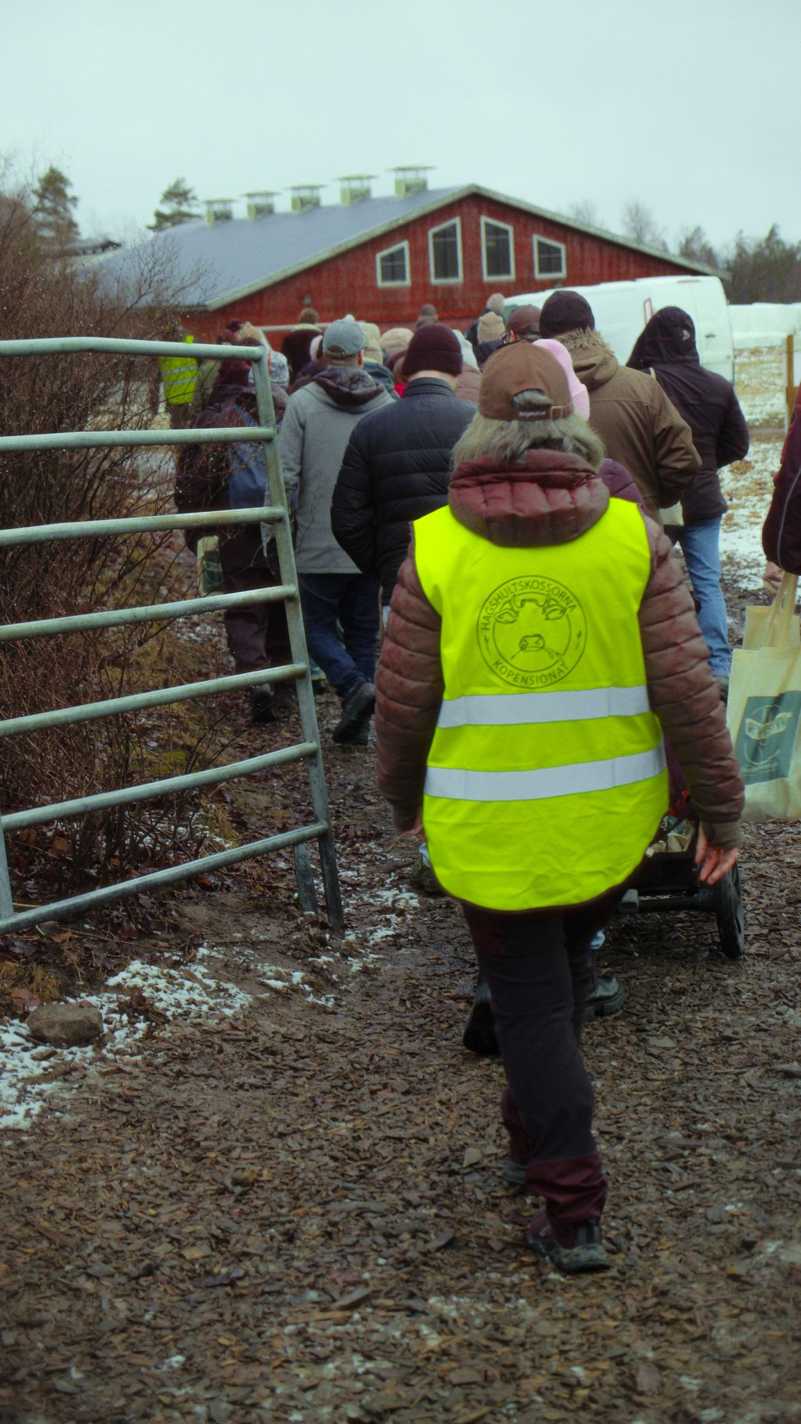 En grupp människor som går