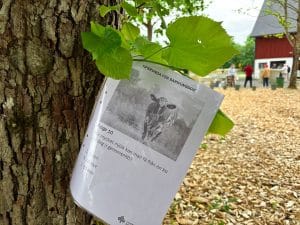 Tipsrunda